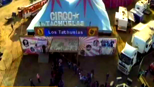 Circos chilenos viven sus días más difíciles paralizados por COVID-19