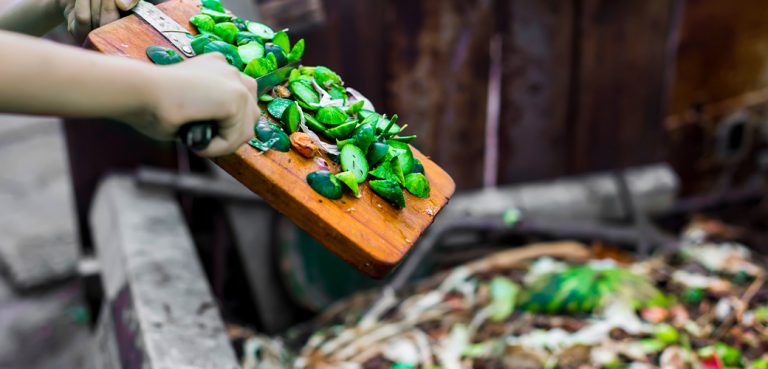 #MMAenCasa, la campaña de Medio Ambiente para aprender sobre el cuidado del planeta durante cuarentena