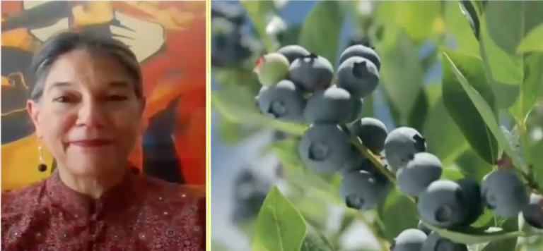 Abastecimiento de alimentos: FAO prevé escenario 