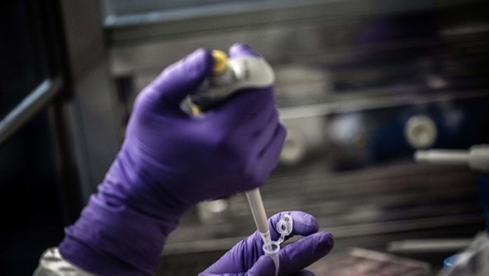 Vacuna contra el coronavirus desarrollada en Inglaterra podría estar lista en septiembre: 