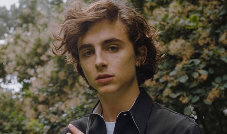 Revelan la primera imagen de Timothée Chalamet en la nueva versión de 