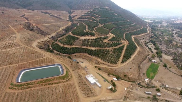 Sequía y pandemia: Piden a Contraloría fiscalizar resolución que dejó a Petorca con 50 litros de agua por persona