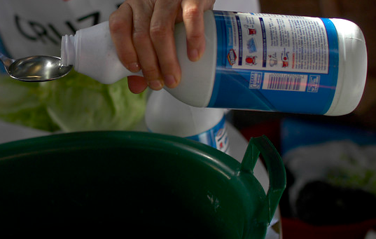 Tras llegada del COVID-19: Intoxicaciones con cloro aumentan un 64%, desplazando a los fármacos