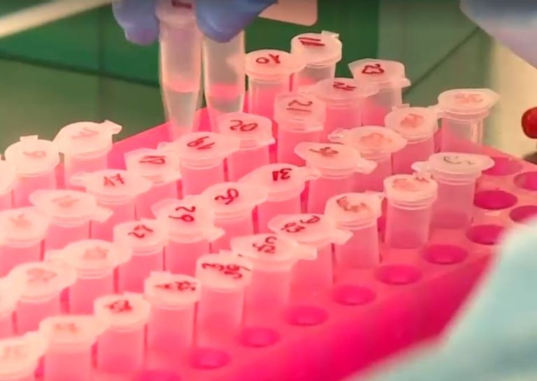 Sumar a los asintomáticos: La nueva forma de contar casos de coronavirus