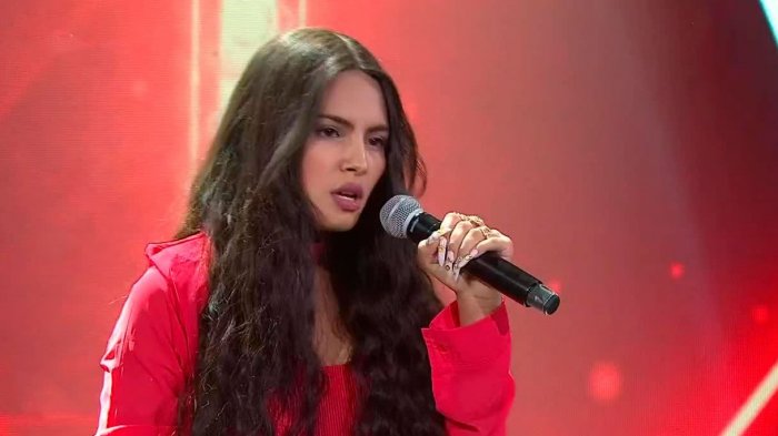 La Rosalía se ganó al jurado con su presentación en Yo Soy