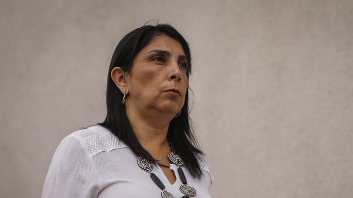 ¿Cuál es el criterio para decretar cuarentena total? Karla Rubilar respondió a solicitud de Mauro Tamayo