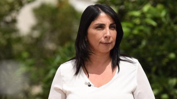 Karla Rubilar y las causas económicas que podrían influir en cambio del plebiscito: 