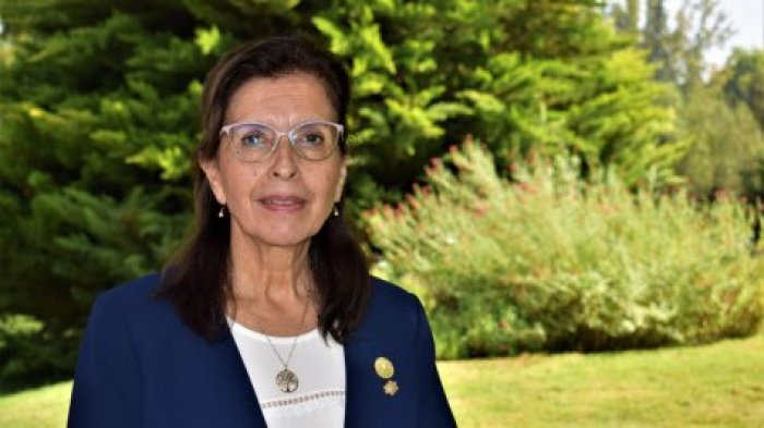 Presidenta del Colegio de Enfermeras: 