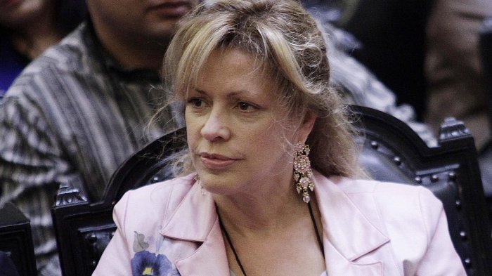 Catalina Parot explicó cómo será el funcionamiento de TV Educa Chile