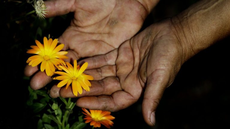 “Aprendamos”: La potente reflexión de Alejandro Sepúlveda en el Día de la Tierra 2020