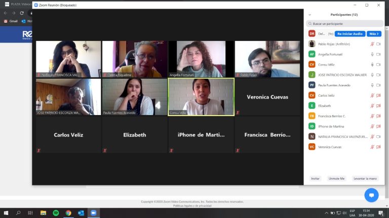 Alumnas y profesoras relatan cómo es defender la tesis universitaria vía Zoom en época de COVID-19