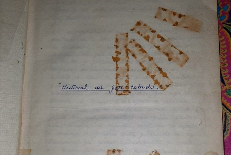 Reo de Santiago 1 vende bitácora de viajes del ex canciller Cubillos para poder comprar un notebook a su hija