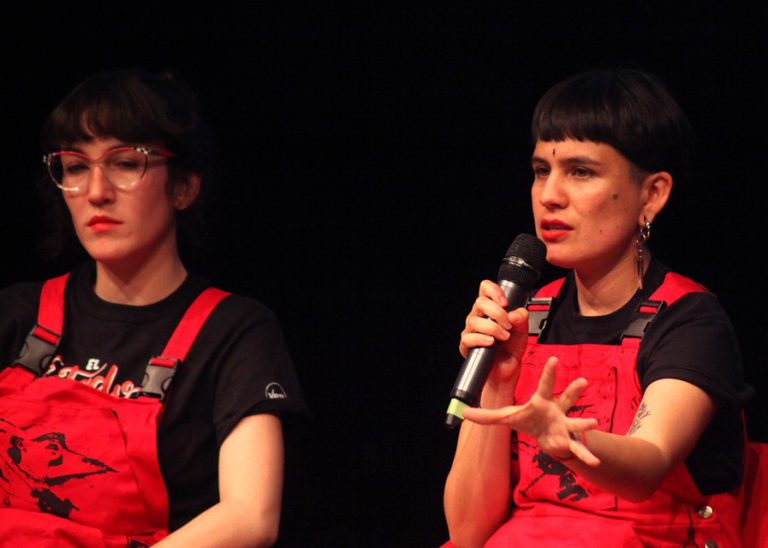 Lastesis por designación de Macarena Santelices como ministra: 