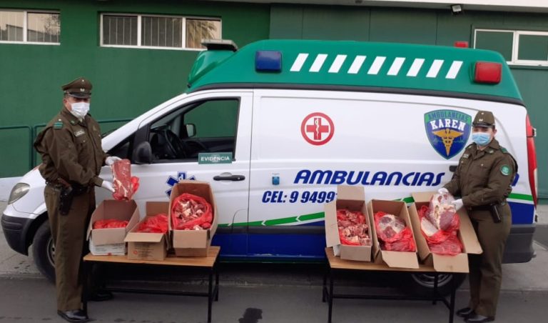 Insólito: Carabineros detuvo a hermanos que transportaban carne en ambulancia para evadir controles sanitarios