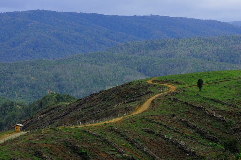 Hoy, 18 de mayo, Chile acabó con los recursos naturales que le debían alcanzar para todo 2020