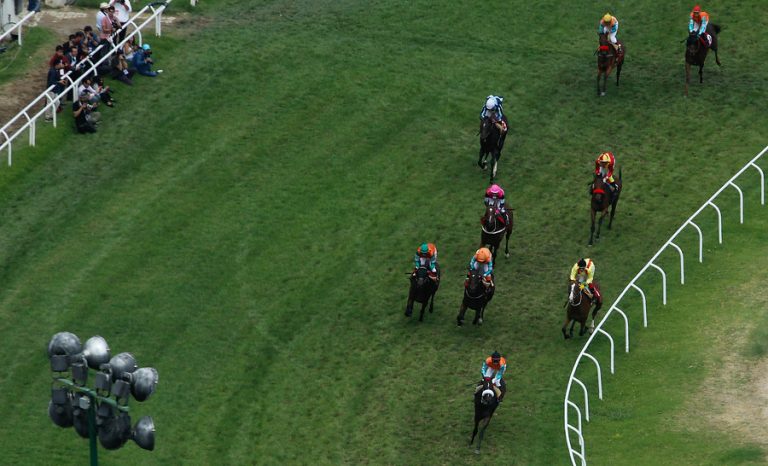 La hípica retoma las actividades: Sporting Club de Viña del Mar abre sus puertas con 15 carreras