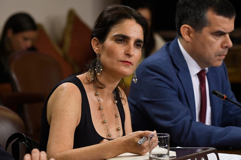 Ministra del Trabajo dice que sólo el 1% de empresas acogidas a la Ley de Protección al Empleo son grandes