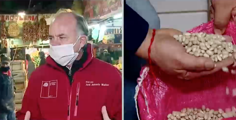 Ministro Walker afirma que importaciones de legumbres 