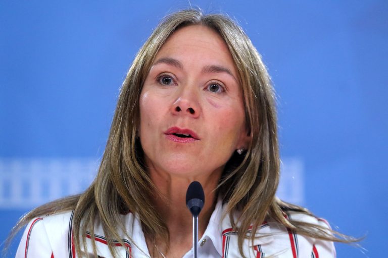 Ex ministra de Energía es nombrada vicepresidenta de Sofofa