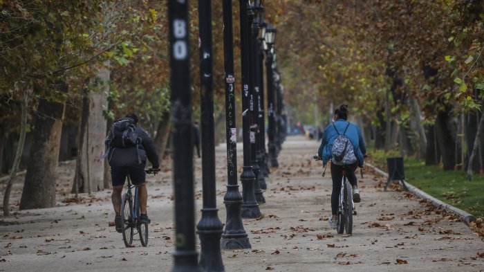 ¡Santiago sin árboles! Urge triplicar su número para enfrentar los efectos del cambio climático