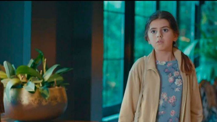 Próximo capítulo: Kiraz descubre el secreto de Baris