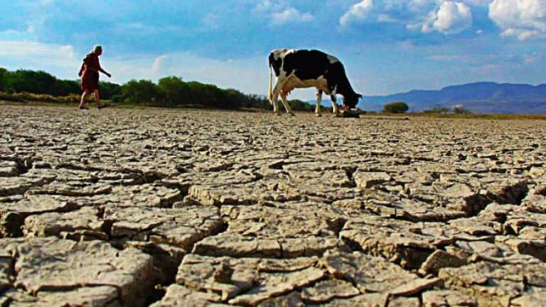 La #GeneraciónSequía: Otra consecuencia de la prolongada falta de lluvias