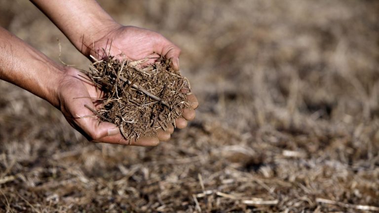 De aluviones a olas de calor: La década en que el clima hizo evidente la peor de todas las crisis