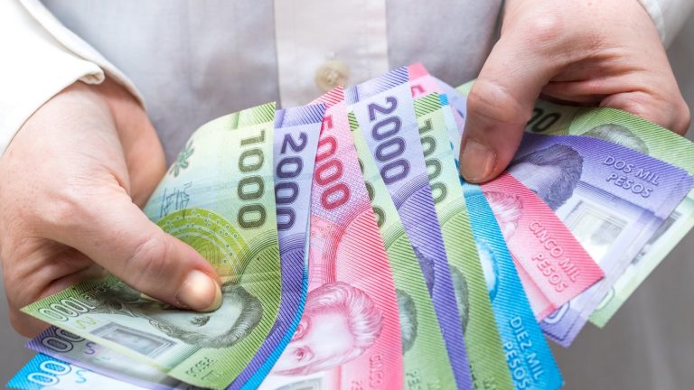 Gobierno lanza sitio de Ingreso Familiar de Emergencia: Hoy comienza postulación