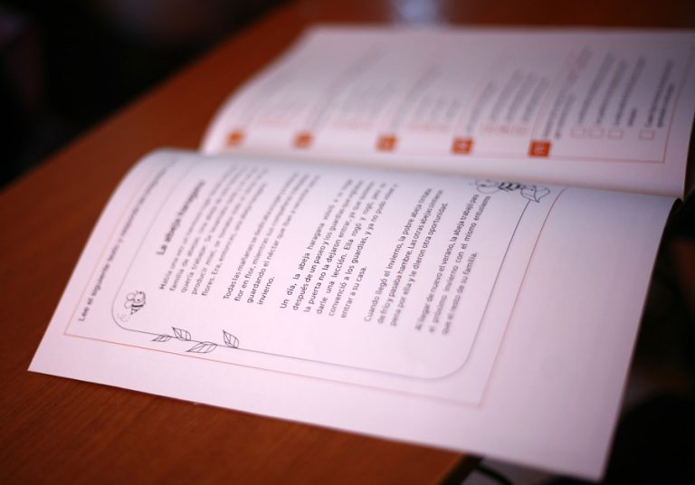 7 votos a favor y 5 en contra: Aprueban en general proyecto que posterga el Simce y la Evaluación Docente