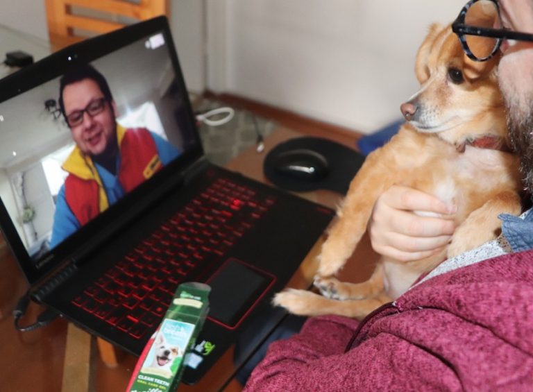 ¿Mascota enferma? Las consultas online al veterinario permiten atender a los animales sin salir de casa