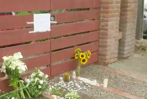 Preocupación por crímenes cometidos por sicarios: Diputados presentaron proyecto que tipifica el homicidio por encargo