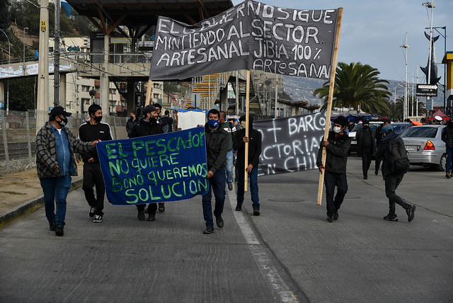 Vocero pescadores artesanales por conflicto con la jibia: 