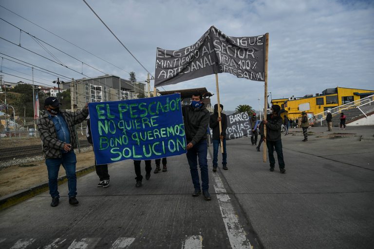 Subsecretario de Pesca tras protestas por Ley de la Jibia: “Estamos haciendo todos los esfuerzos para defenderla”