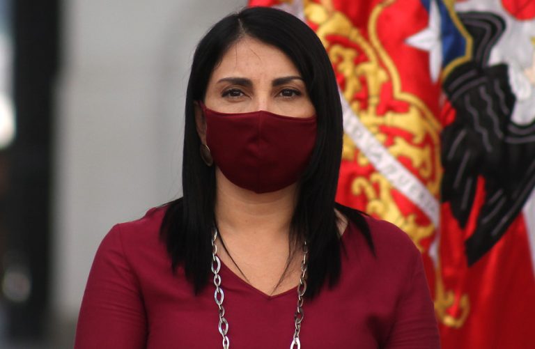 Gobierno cambia polémico instructivo para entrega de cajas y Rubilar reconoce que 