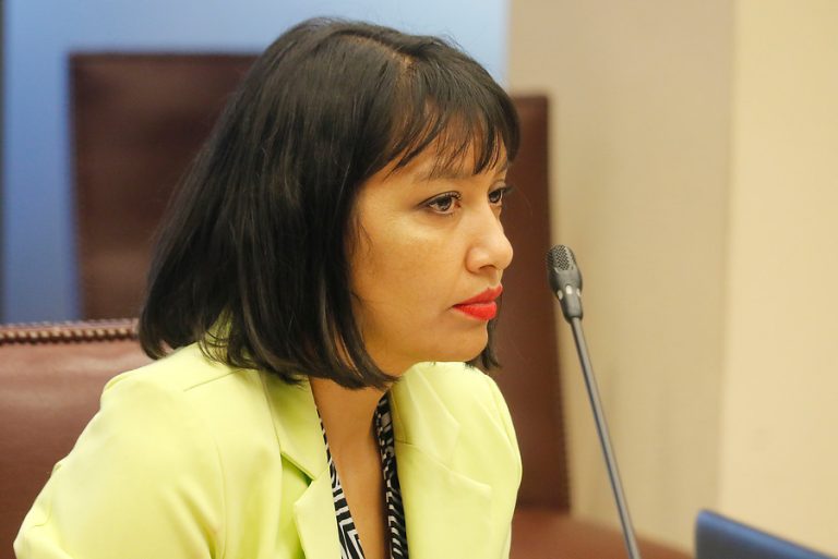 Diputada Castillo denuncia que llegó una caja de alimentos del Gobierno a su casa: 