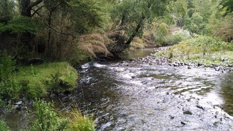 Central hidroeléctrica en Pucón: Evaluación ambiental dejó sin efecto autorización para iniciar las obras