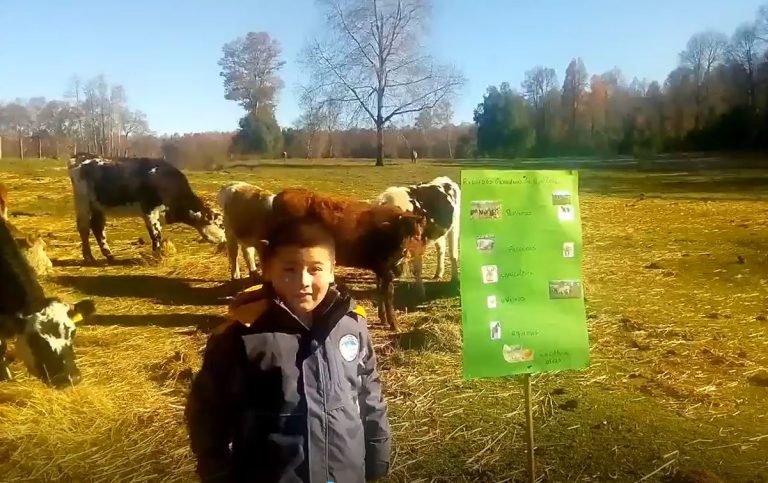 Junto a caballos y vacas: La creativa disertación de niño de 9 años sobre animales del campo que se merece un 7