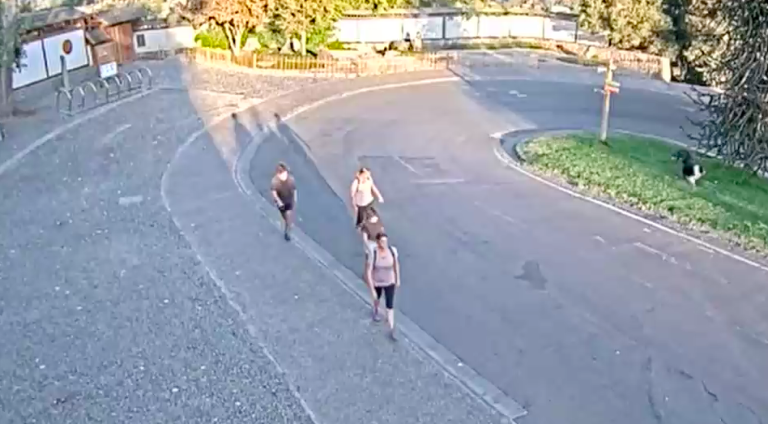 Personas que ingresen al Parquemet arriesgan multa de hasta $10 millones y 3 años de cárcel