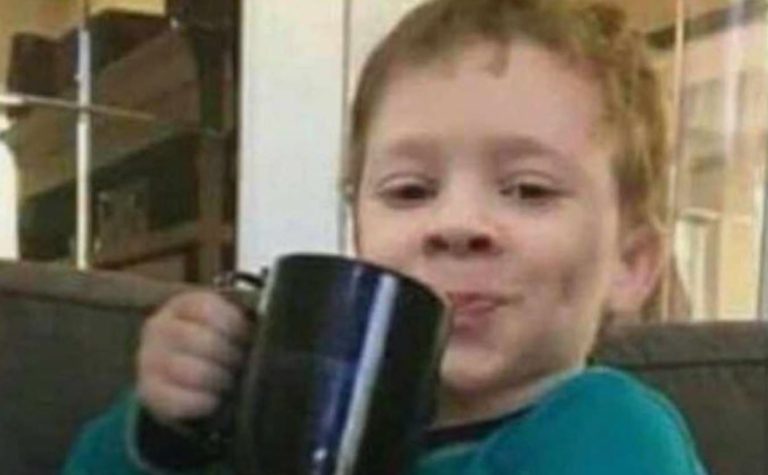 Error en WhatsApp no permite ver última conexión de contactos y los usuarios se descargaron con memes