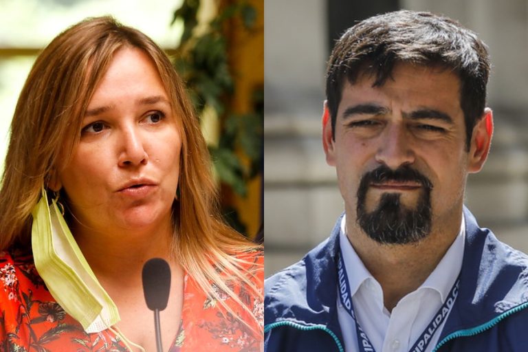 Diputada Hoffmann molesta con Tamayo por críticas a Piñera: 
