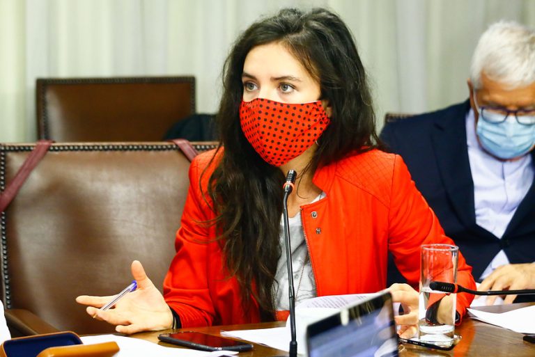 Diputada Vallejo pide al gobierno 