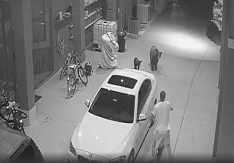 El momento en que jugador de la NFL se topó frente a frente con dos osos dentro de su casa