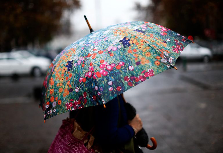 ¿Tendremos desierto florido? Este lunes volverán las lluvias al centro-norte del país