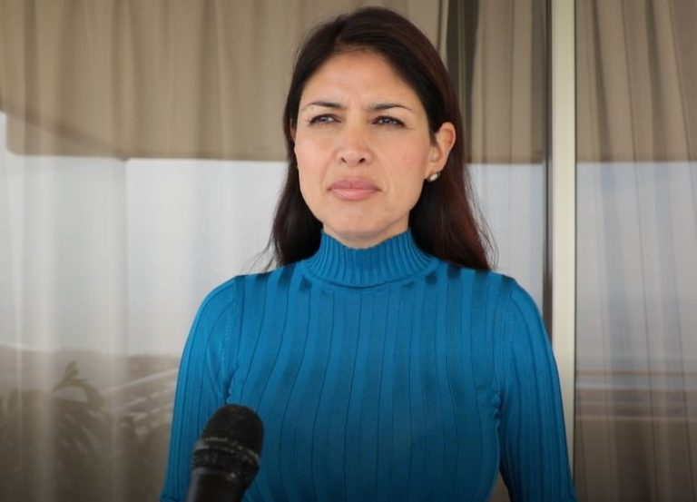 Karen Rojo pide extremar medidas: Cierre de aeropuertos, paralización de faenas mineras e hibernación