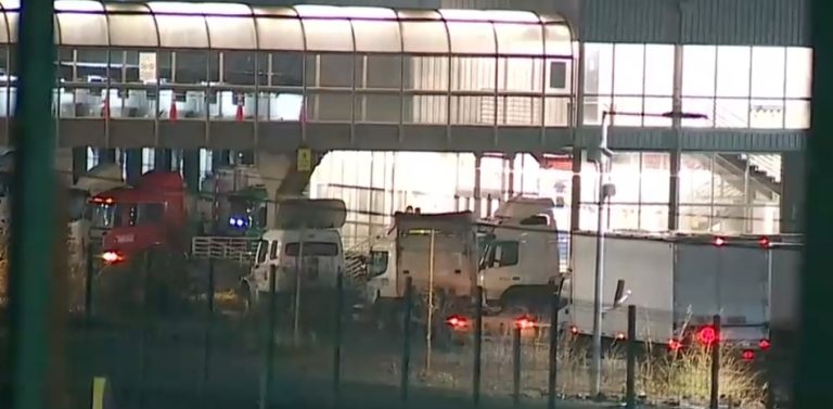 Hombre murió aplastado por grúa horquilla en bodega de San Bernardo: No habría tenido licencia para conducirla