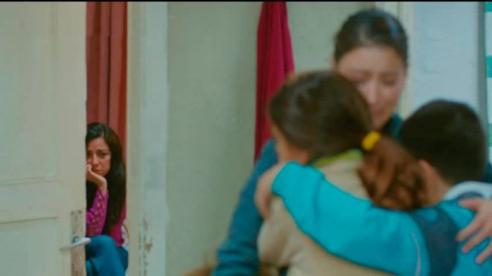 Amor de Familia | Capítulo 17