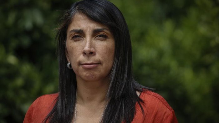 Karla Rubilar descarta aplazar plebiscito: 