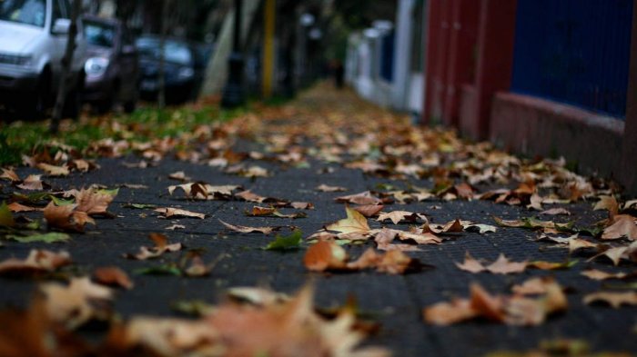 ¡El otoño se despedirá con lluvias y vientos! Este miércoles caerá agua sobre Santiago