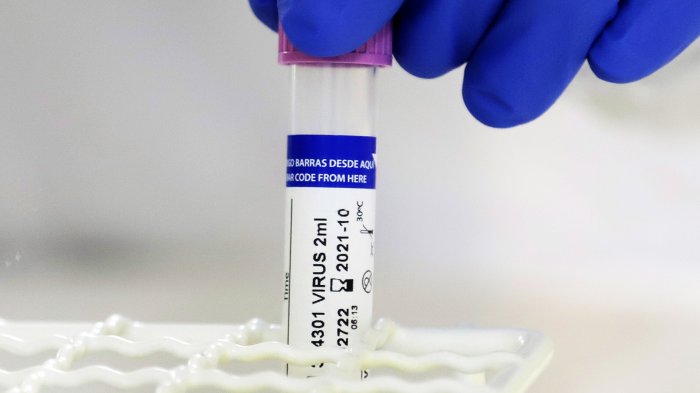 Científicos proyectan preocupante tasa de fallecidos: Actual ritmo de contagios arriesga 70 mil muertes en Chile