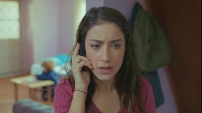 Amor de Familia | Capítulo 28